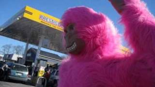 preview picture of video 'Pink Gorilla Robot sign spotted!'