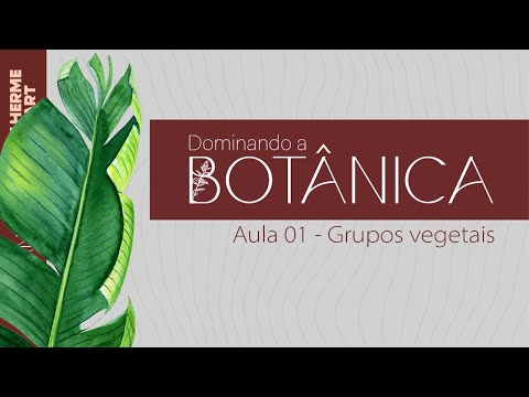 Dominando a Botânica - Aula 01 : Grupos Vegetais