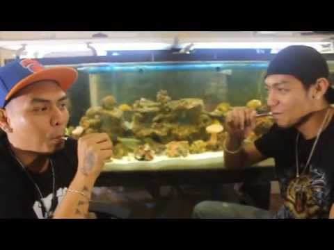 EPIPE DEMO FOR STARTER