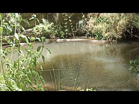 Domingo 2021 1128 - Bautismo - TRC