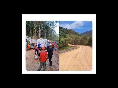 🚨 URGENTE! Notícias de última hora: Trabalhador morre atingido por árvore em Iporanga