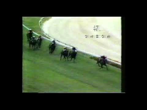 1987 Moir Stakes - Placid Ark