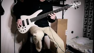 VAMPS/DEEP RED/Bass Cover/ベースで弾いてみた