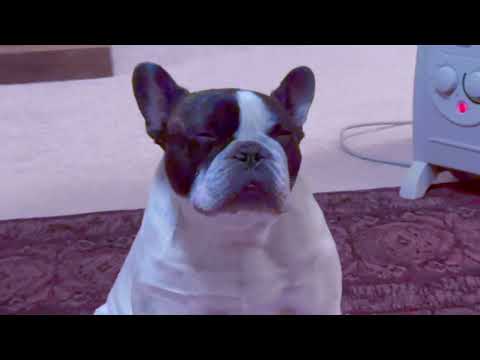 film snob - MR. SOUNDSYSTEM