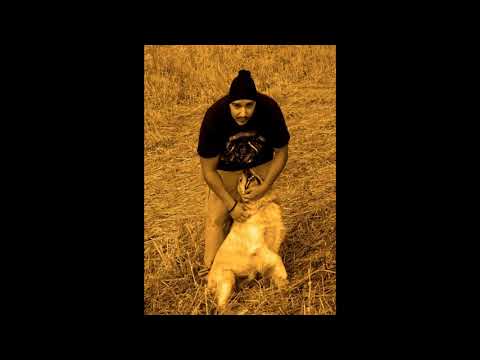 MC Seven - Shaka Ludaka