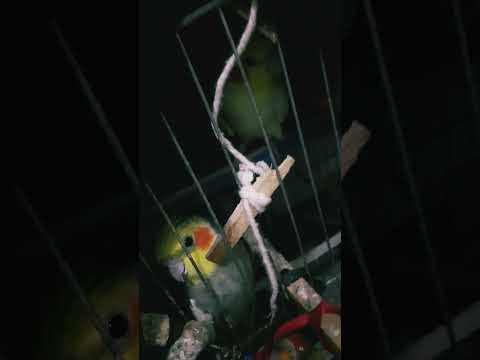 24 de janeiro de 2024