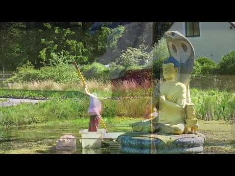 Glasgow - Sjálandsskóli