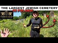 Polish People Who Want To Clean The Largest Jewish Cemetery In Poland