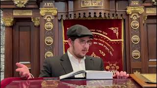 הרב מאיר אליהו פינטו | הלכות עטיפת הטלית