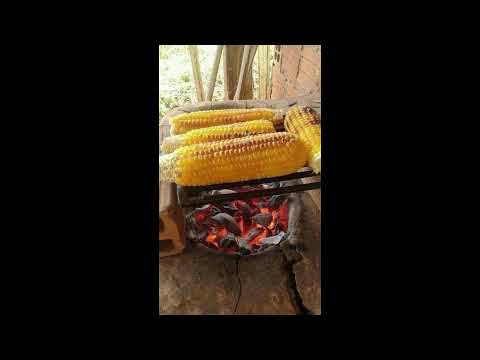 Programa: Caminho da Roça - 13/08/26 - Parte 1 - Apresentação: Paulinho