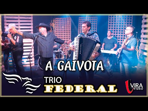 A Gaivota - TRIO FEDERAL (Silvaneto, Matarazzo e Wilsinho)