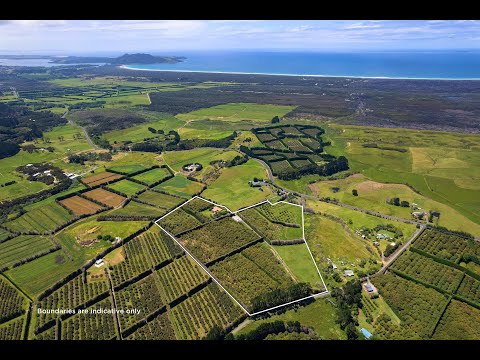 38 Turk Valley Road, Waiharara, Pukenui, Far North, Northland, 4 bedrooms, 2浴, Horticulture