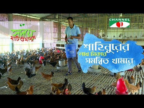 সম্বনিত খামার