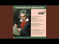 String Quartet No. 6 in B Flat Major, Op. 18 No. 6: 1. Allegro con brio