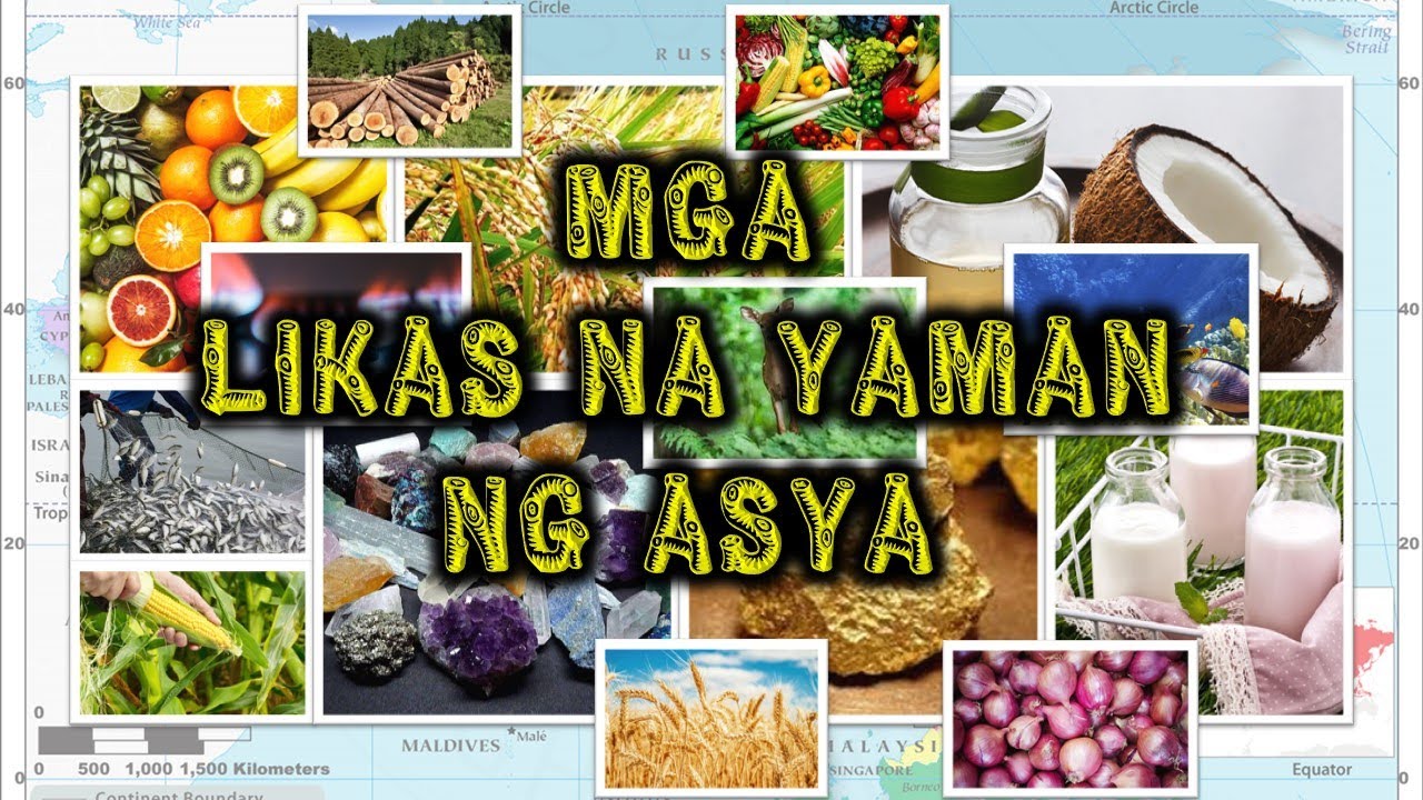 Mga Likas na Yaman ng Asya