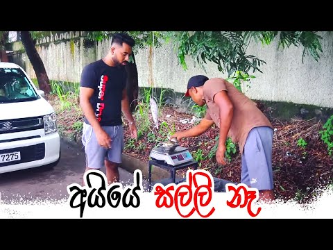 Padiri Production - Aiye Salli Na