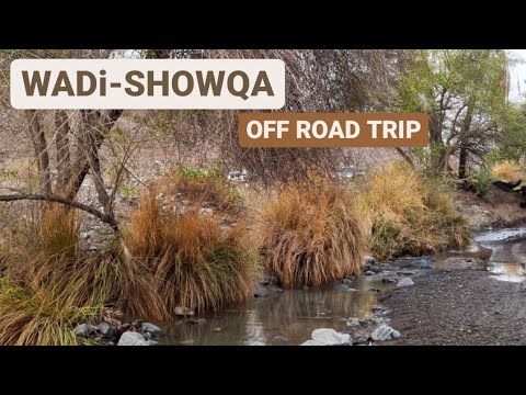 Wadi Showka // Summer Rain // UAE
