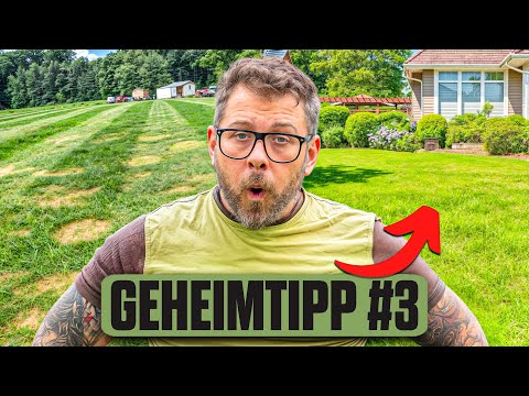 🌿 10 GEHEIMTIPPS für einen perfekten Rasen 🧤