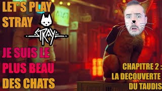 LET'S PLAY COMPLET : STRAY PARTIE 2 - JE JURE J'VAIS TE MIAOU
