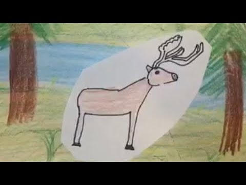 intersexuelle und intrasexuelle Selektion Kurz-Video