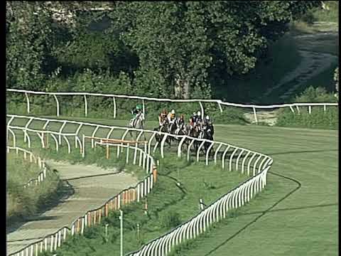 Galoppo 25/06/2019 - 3ª corsa