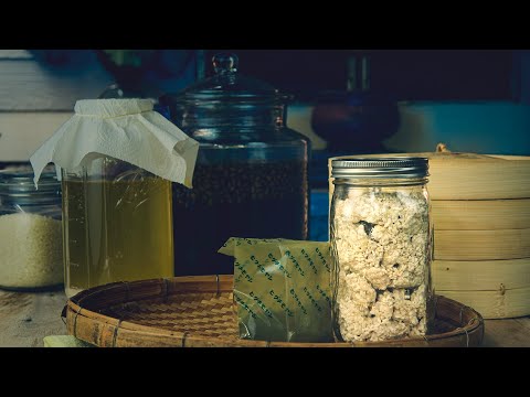 [EN/SUB] How to make Koji Rice the easy way - Starter for Sake, Rice Vinegar, Shio-Koji, Amazake  