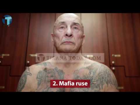 Tirana Today - Ja cilat janë 5 organizatat më të pasura kriminale në botë