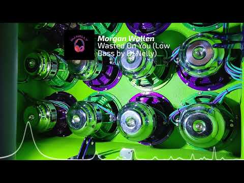 Wasted On You - Morgan Wallen (35,40hz) Low Bass by DJ Nelly