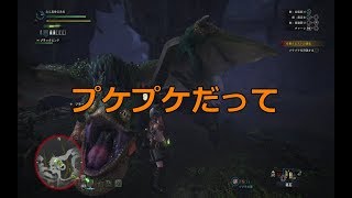 なだこのきもカワ系！【MHW】