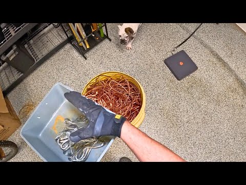 So We're Stripping With Mike