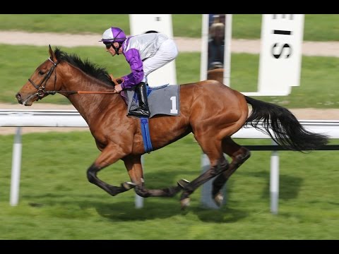 Köln: Preis der Holthausen GmbH (D) - Sieger: Nutan