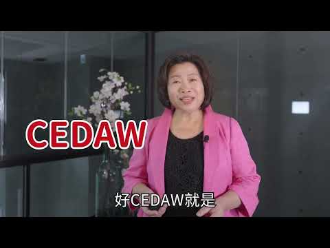 社會局 CEDAW案例宣導媒材