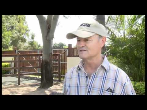 Magic Millions Race Day Preview - Profile David Payne