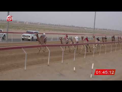  ش 9 (العنود) لـ خليفه علي بن مروشد 3:02 ، شارة صندوق الحلفه 2026/08/17 فطامين سويحان