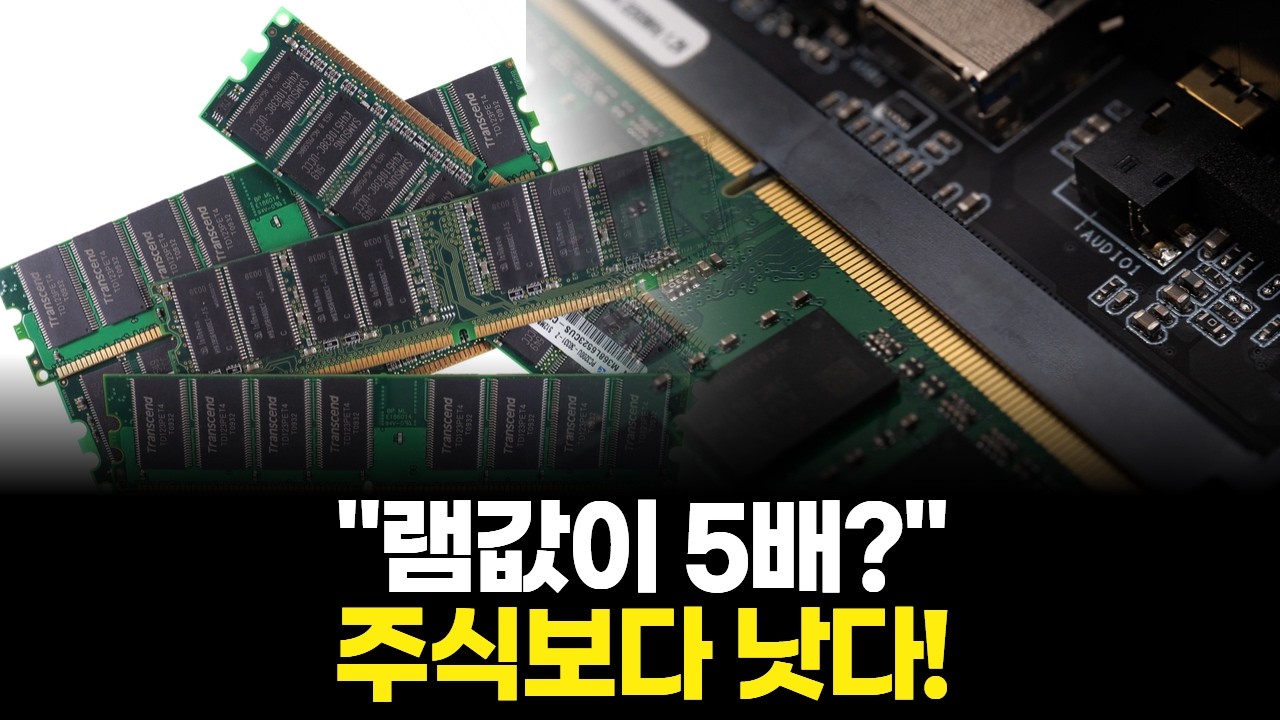 "램값이 5배?" 주식보다 낫다!
