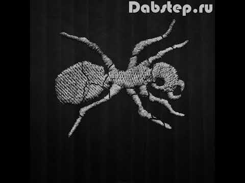 Lady Waks - Record Club #628 (23-04-2021) www.freednb.com