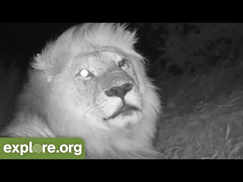 Snapshots of the Week!