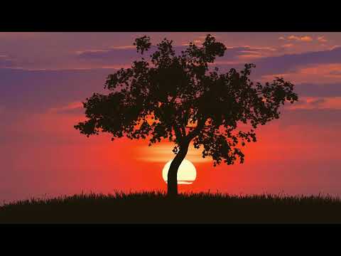 Ultimate Relaxing Music for Stress Relief and Meditation - Relaxing Music