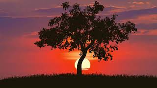 Ultimate Relaxing Music for Stress Relief and Meditation - Relaxing Music