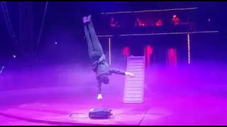 Download Lagu Hand-balancing, Acrobatics, Act Circus, Cabaret, Entertainment, Variety performance. Thumbnail
