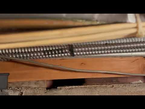 Mice Roaming in the Cellar of Business in New Brunswick, NJ