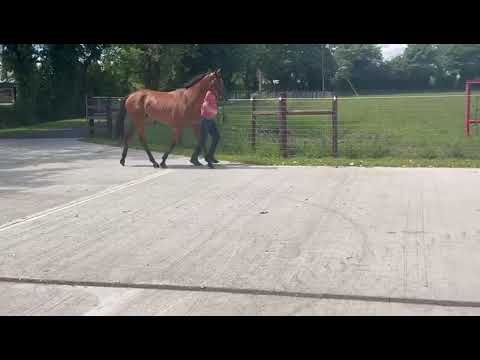 Video 3