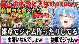 最近のお気に入りYouTuber「ヘアピンまみれ」を布教する雪花ラミィw【切り抜き/ホロライブ】
