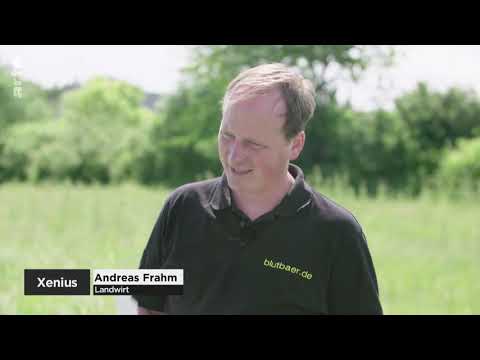 Xenius   Les chenilles alliées des uns, fléau pour les autres Arte