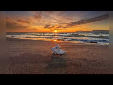 Pacific Sounds, Waves, Surf Sound