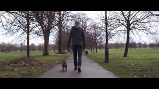 Above & Beyond Headline SW4 Festival, London