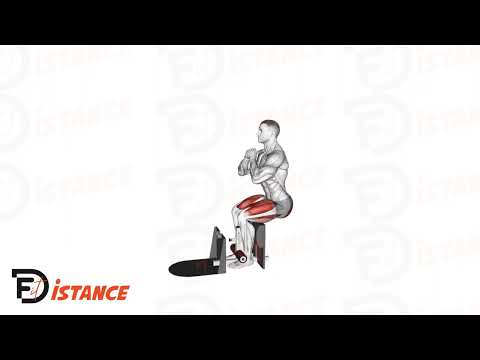 Exercice Sissy Squats à la machine