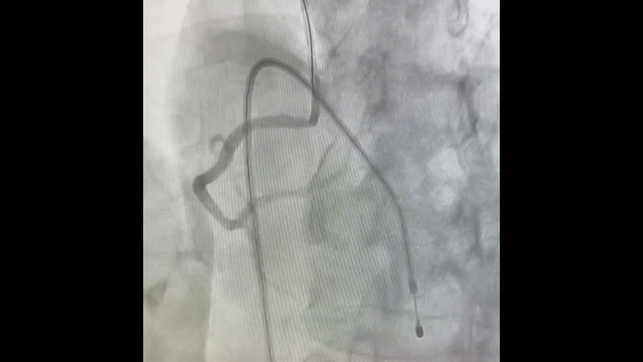 Juan Carlos Mandujano Magdaleno-10