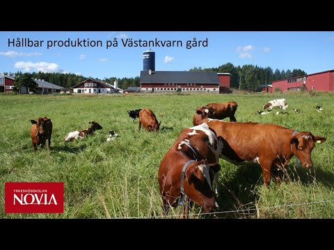 , title : 'Hållbar produktion på Västankvarn gård'