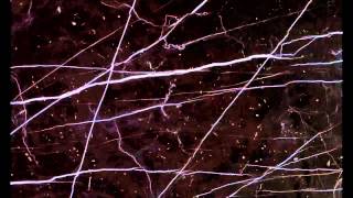 Trentemoller - Shades of Marble